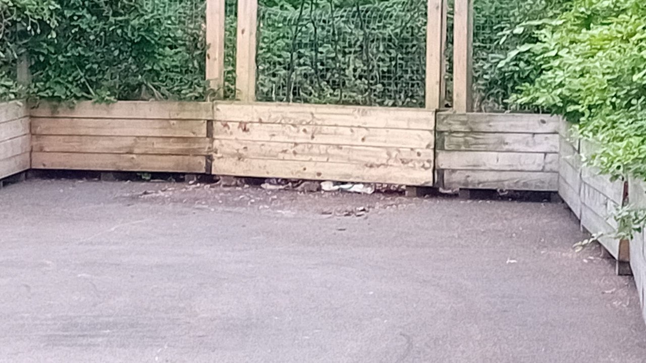 Citizens urged to dispose of food waste responsibly amid thriving rat population along Derry quay