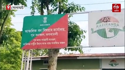 বনকৰ্মীৰে সংঘৰ্ষত ধৰাশায়ী গঁড় চিকাৰ কৰিবলৈ অহা চোৰাং চিকাৰী