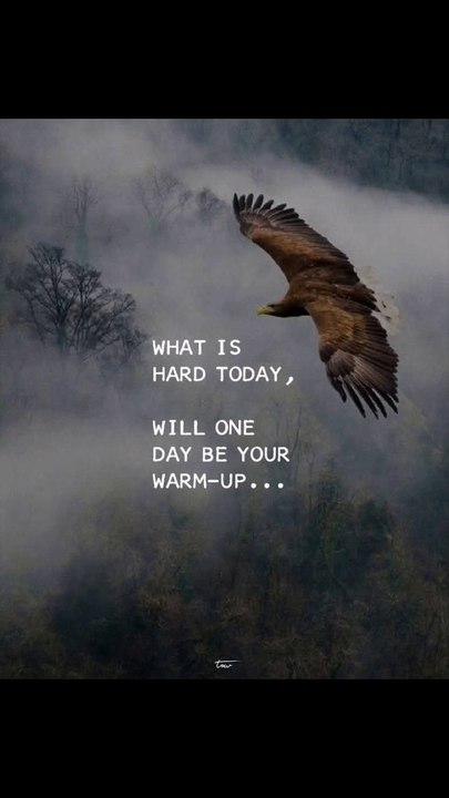 Daily quote