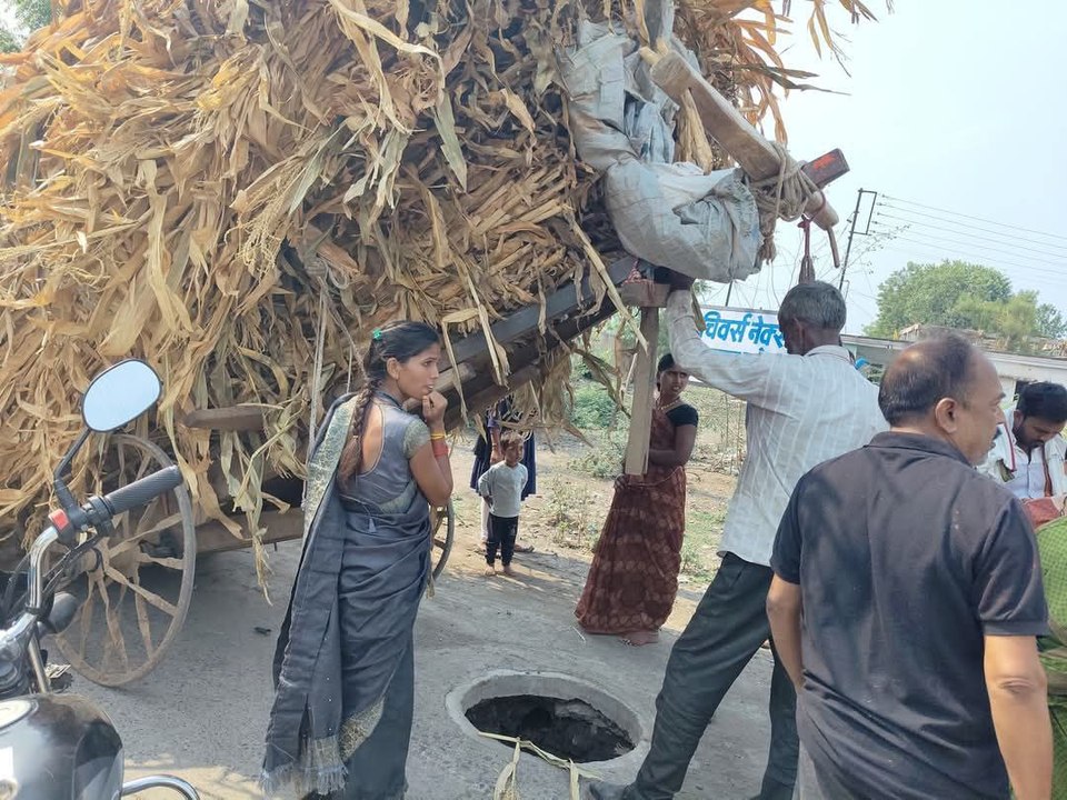 चेंबर पर पैर रखते ही गड्ढें में गिरा बैल, रेस्क...
