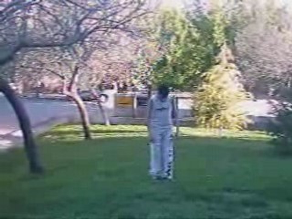 Un dia lluvioso