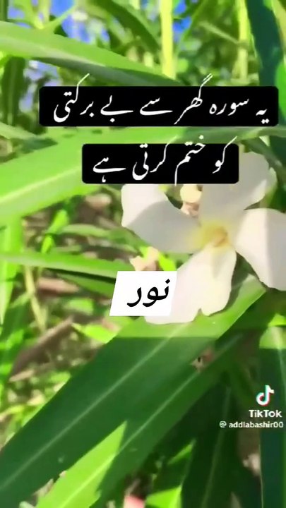 Quran tilawat