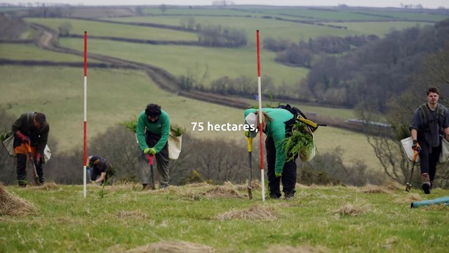 Two new woodlands with more than 130,000 trees created in Shropshire to celebrate King's Coronation - via Forestry England