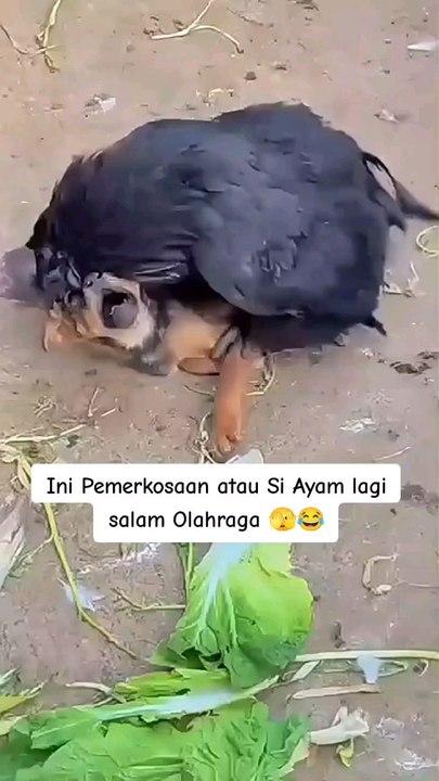 wow ❤️