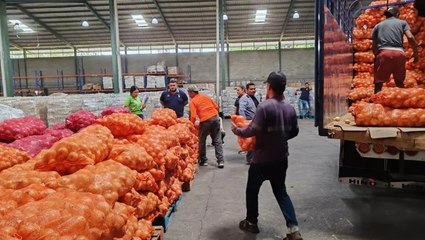 Implementarán planta secadora de cebollas en Natá