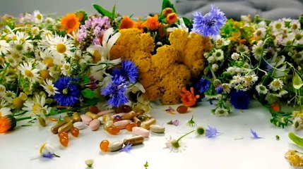 Policlinico San Marco Catania: innovazione con medicina naturale