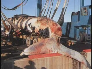 Nibiru,serions-nous prêts pour 2012?