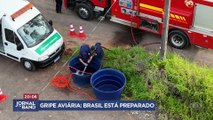 Brasil tem caso isolado de gripe aviária