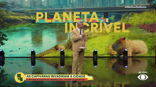 PLANETA INCRÍVEL: Capivaras, os maiores roedores do mundo | Melhor da Noite