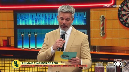 Animais tingidos de azul: caminhão tomba em Jundiaí | Melhor da Noite