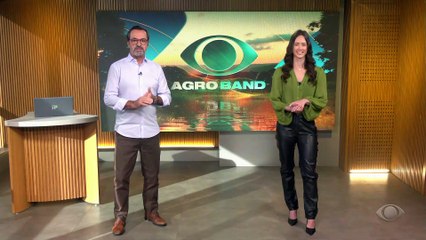 Giro Brasil: vassoura-de-bruxa, colheita de café-arábica, valor agorpecuária