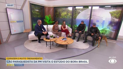 Conheça o Coyote, primeiro cão paraquedista da PM