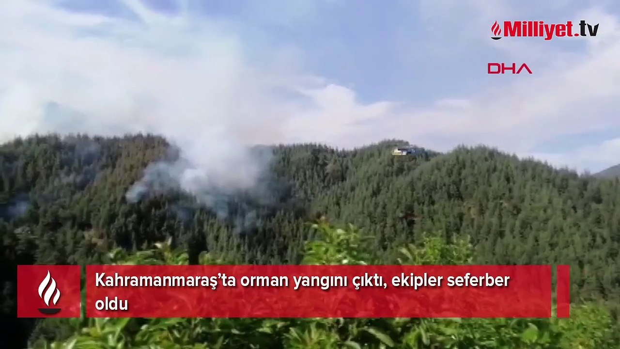 Kahramanmaraş'ta orman yangını! Ekipler harekete geçti