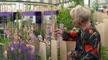RHS Chelsea Flower Show 2025 episode 7