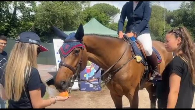 Save a Horse , dal bar per cavalli in gara ai progetti d'inclusione