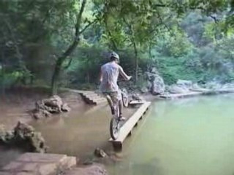 Zoo Video 22