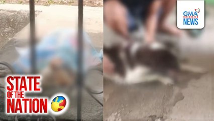 2 aso, nilason umano ng kapitbahay; isa namatay | SONA