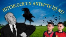 8 yaşındaki mucitler; çocukları, kuşları ve fıstıkları nasıl kurtardı?