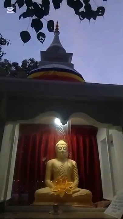 Beautiful Village Temple