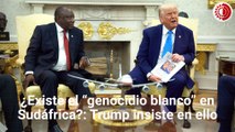 ¿Existe un “genocidio blanco” en Sudáfrica?