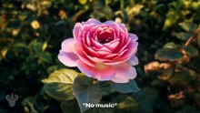 Everything Praises - Bilal Reggae - New English Nasheed - Mystic Meditation Records