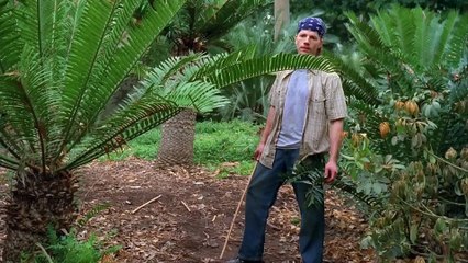 Hidra - A Ilha Perdida