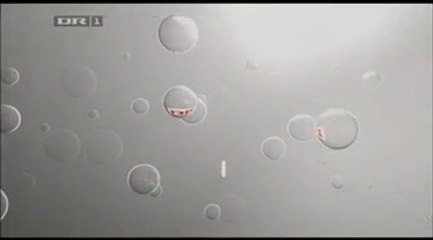 Et godt kvarter || Vejle (Undertekster) -- 2007 -- DR1