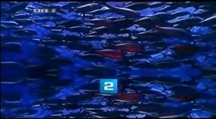 Et godt kvarter ||| Vejle --- 2007 --- DR2