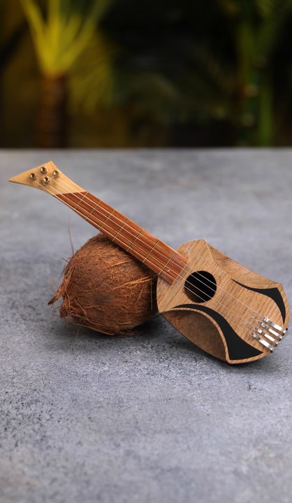 Créations à base de noix de coco : BRICOLAGE à partir d'un trésor de la nature !