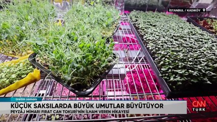 Mikro yeşilliklerle tanıştı, hayatı değişti