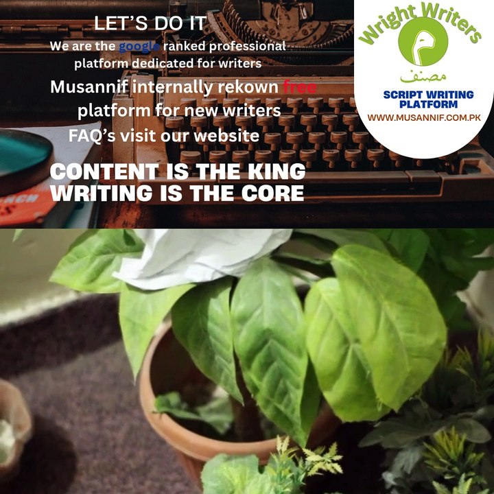 Musannif Professional script writing site