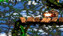 Donkey Kong Country 2 27