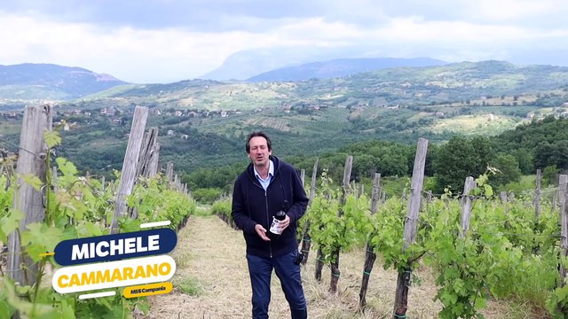 Cammarano - CENTONOVESIMA TAPPA DEL TOUR NELLE AZIENDE E NELLE IMPRESE DELLA NOSTRA TERRA (22.05.25)