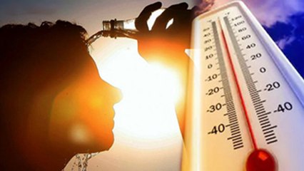 Nautapa 2025: नौतपा के दौरान शरीर पर क्या असर पड़ सकता है, इन लोगों को होगा ज्यादा खतरा | Bodsky