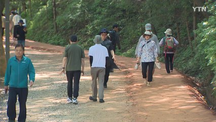 화창한 날씨 자연 만끽할 수 있는 곳곳에 시민 발길 / YTN