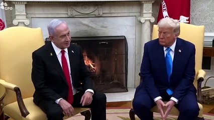 Trump defiende su orden contra la matriculación extranjera en Harvard