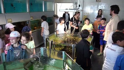 Minikler doğayı eğlenerek öğrendi