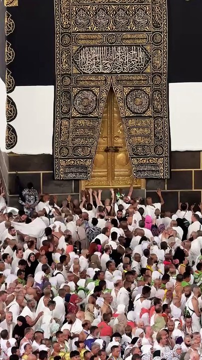 Hajj Session 2025 hajjsesson hajjtrending hajj2025update hajj1446 hajj2025 LiveHajj live hajj makkah313