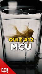 QUIZ MCU #12 (Vidéo exclusive Daylimotion)