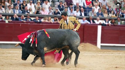 Feria San Isidro: Castella y Luque saludan en la duodécima de abono