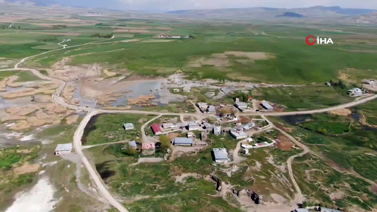 Van'ı seven farklı kuş grupları akın akın geldi! Muhteşem manzaralar oluştu