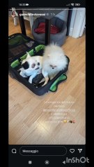 guendalinatavassi oggi album foto