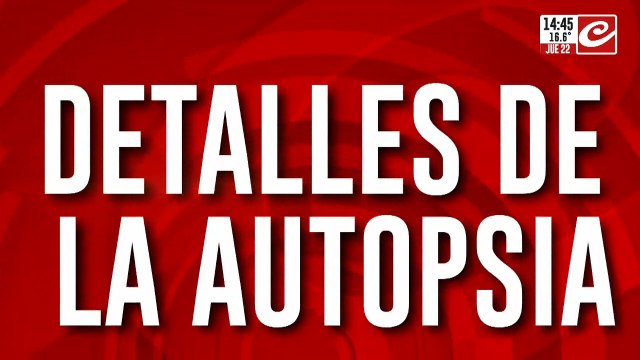 Detalles de la autopsia de la masacre de Villa Crespo: Laura tenía pelos en las manos