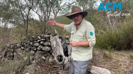 The ‘great wall of Jindabyne’ was created to keep the livestock in