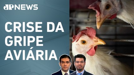 Rússia e outros três países reduzem embargo à carne de frango do Brasil; Kobayashi e Vilela comentam