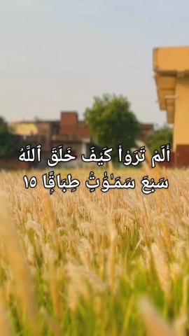 📜 *सूरह नूह (71), आयत 15-20 #Quran #SurahNuh #IslamicReminder #Tafseer #AllahKiNishaniyan