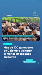 Más de 100 ganaderos de Colombia visitarán al menos 10 cabañas en Bolivia