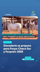 Ganadería se prepara para Fexpo Chaco Sur y Fexposiv 2025