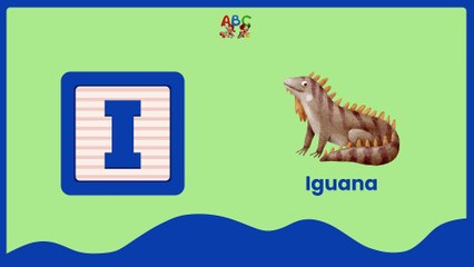 ABC Flashcards for Babies | Alphabet Animals A to Z | Baby's First Words | ABC Learning for Babies