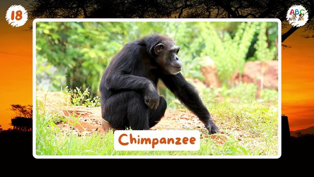100 African Animals for Kids | Learn Animal Names | Types of Animals for Kids | Wild Animals Name